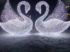 -丁香湖公园