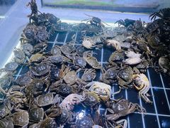 -聚盛源蒸汽海鲜火锅烤肉自助(巨川金海岸购物广场店)