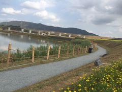 -光明小镇欢乐田园