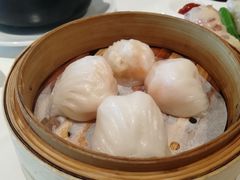 -粤式早茶希朋喜宴