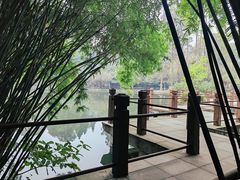 -棠湖公园