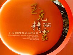 -上海博物馆(人民广场馆)