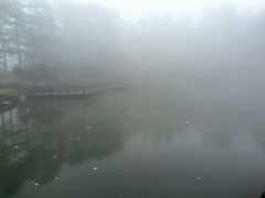 -四明山国家森林公园