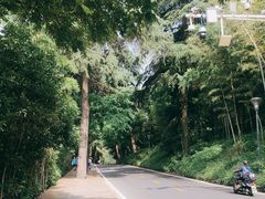 -紫金山天文台