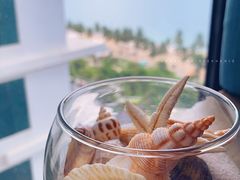 -100蛋泥浆浴