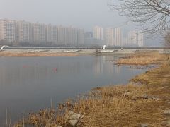 -永定河休闲森林公园