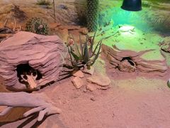 -正佳雨林生态植物园