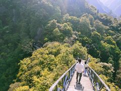 -龙湾潭国家森林公园