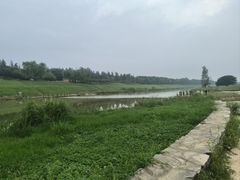 -洨河生态公园