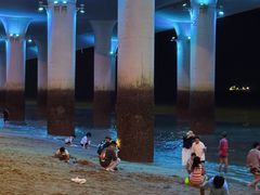 -演武大桥观景平台