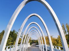 -大兴滨河森林公园