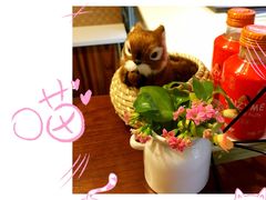 -狐狸家·酸奶酪专门店(平江路店)