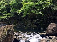 -白云源风景区