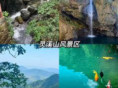 -老李家土菜馆·安吉地标美食