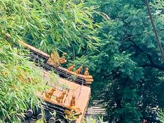 -潭柘寺景区
