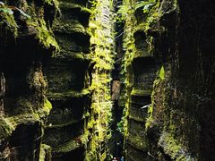 -梭布垭石林景区