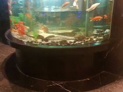 -王家渡火锅店(亦庄店)