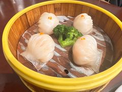 -古南都·老广东酒楼(龙江店)