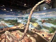 -自贡恐龙博物馆