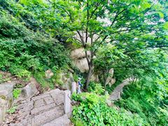 -北京凤凰岭
