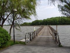 -溱湖国家湿地公园