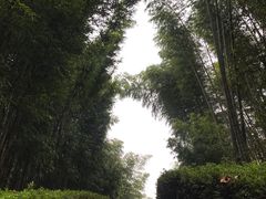 -井冈山风景名胜区