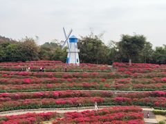 -察理王子(金浦店)