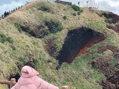 -涉地可支