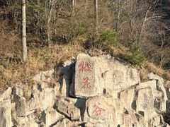 -大围山国家森林公园