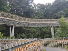 -福道