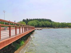 -丁香湖公园