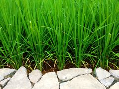 -南山小酒馆·江湖菜·夜宵(壹华里店)