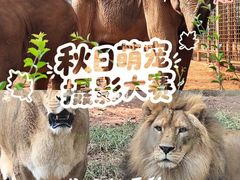 -昆明动物园