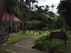 -马奴干岛