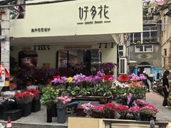 -溪岸路花鸟市场