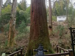 -东天目山风景区