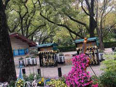 -上海共青森林公园