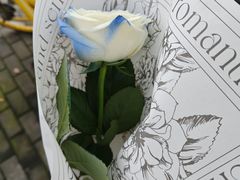 -FEI FEI FLOWER鲜花店·气球派对·宝宝宴布置(虹口德必运动Loft店)