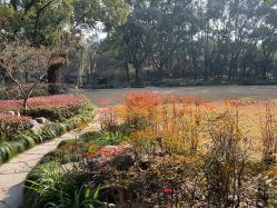 -丁香花园申粤轩·宴会厅