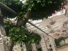 -龙达温泉生态城