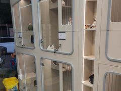 -唐小姐の私宠·宠物洗护美容·撸猫馆·购宠(周浦万达旗舰店)