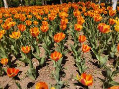 -长春公园(普阳街道)