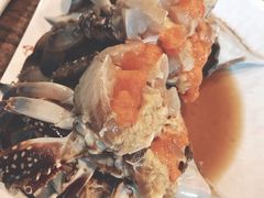 -普乐酱蟹(coex店)