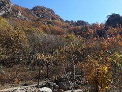 -大连天门山国家森林公园