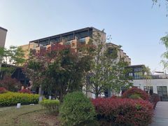 -上海崇明金茂凯悦酒店