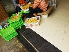 -山菌美食苑(振兴路店)