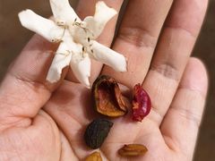 -侯臣咖啡文化村