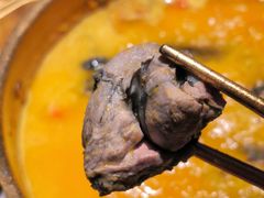 -Darling Queen·Mini·Live·House