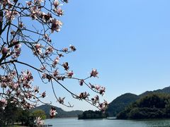 -宁波九龙湖开元度假村