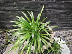 -南堂馆·新川菜(天府三街店)